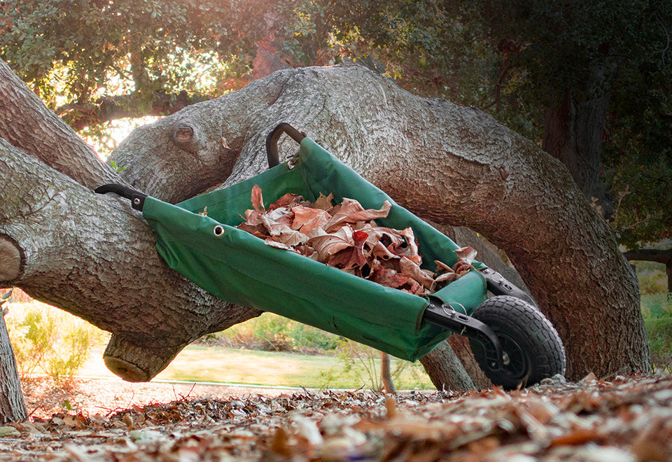 Folding Wheelbarrow - image 3