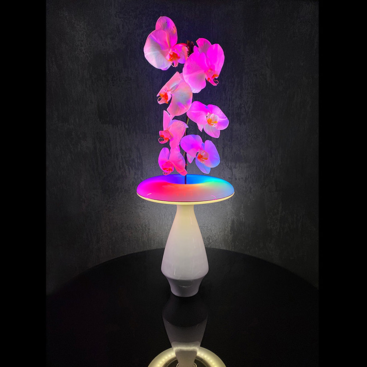 LED Ceramic Flower Vase - image 5