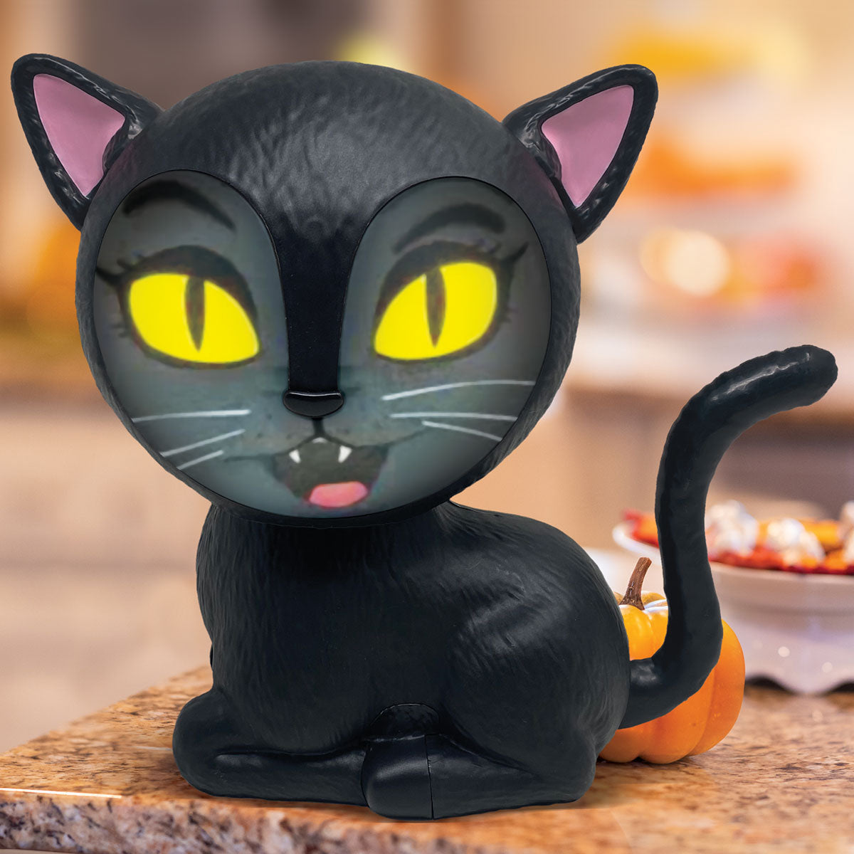 Animated Talking Halloween Cat