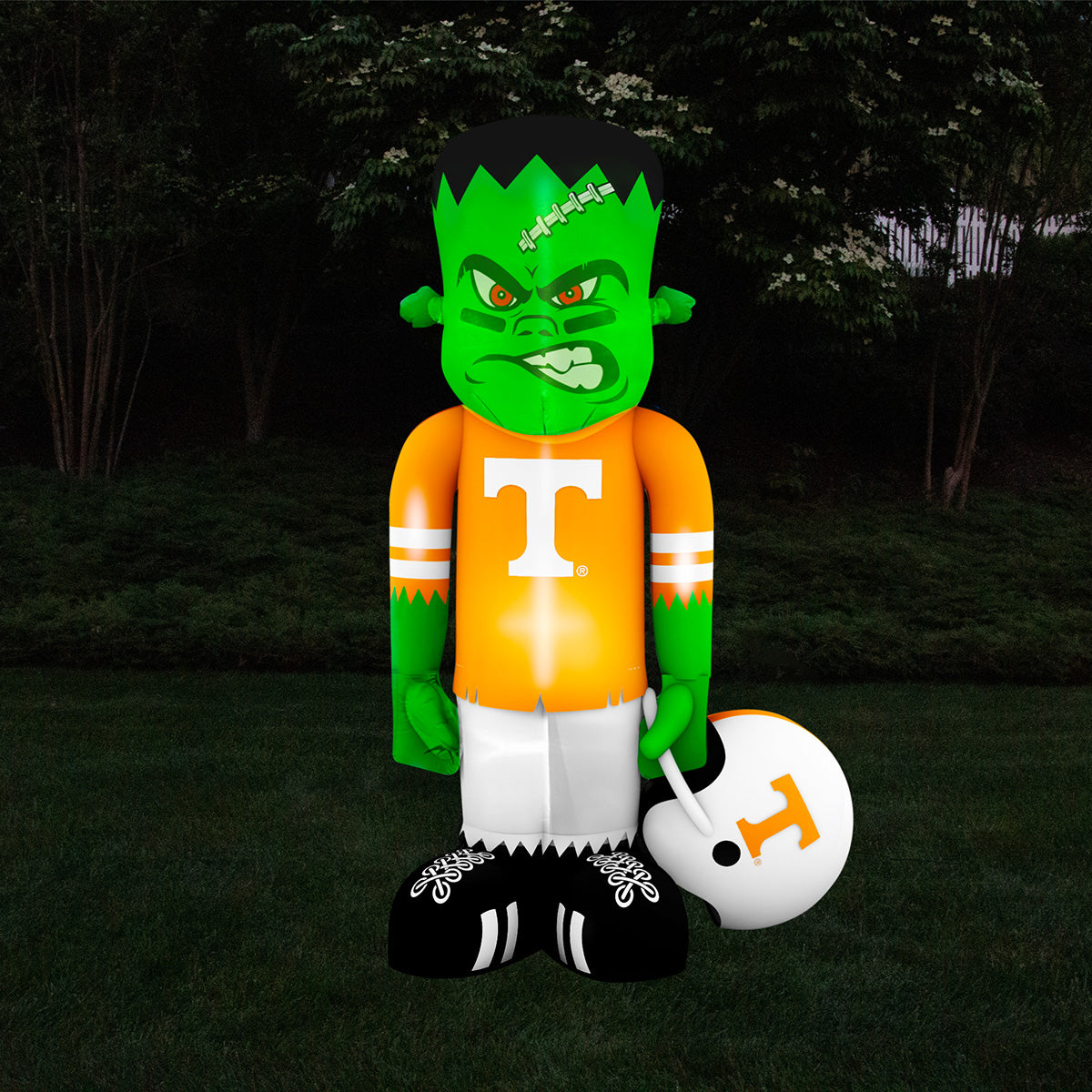 NCAA Inflatable Steinbacker - image 18