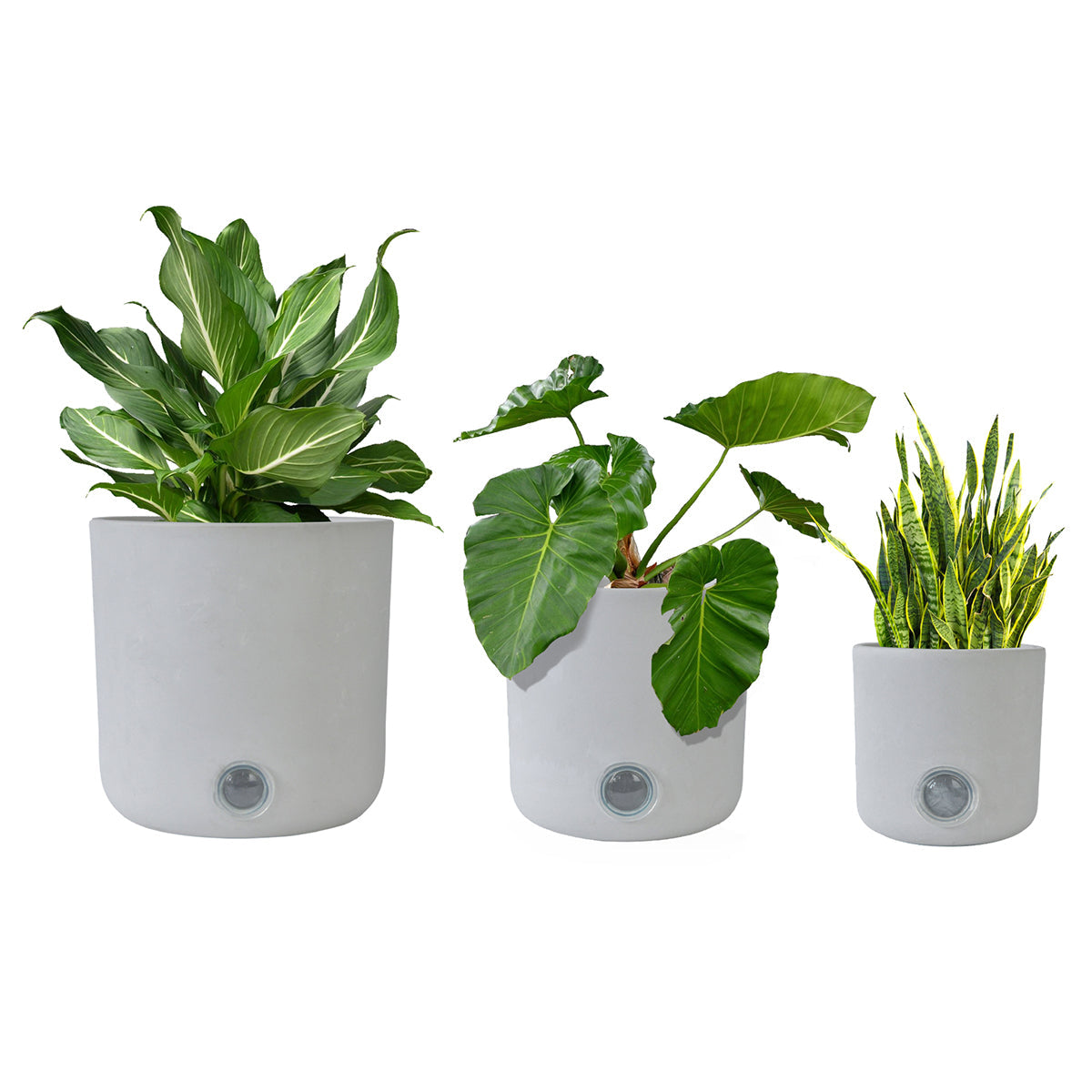 Self-Watering Tall Cylinder Pot System for Indoor Plants (Set of 3) - image 13