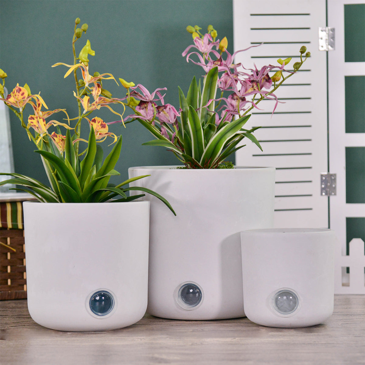 Self-Watering Tall Cylinder Pot System for Indoor Plants (Set of 3) - image 14