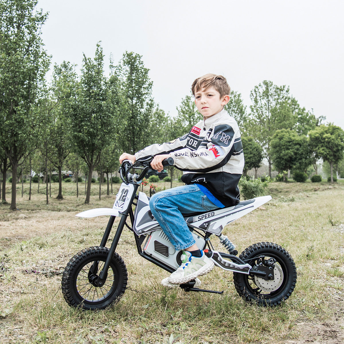 36V E-Dirt Bike with Brushless Motor - image 10