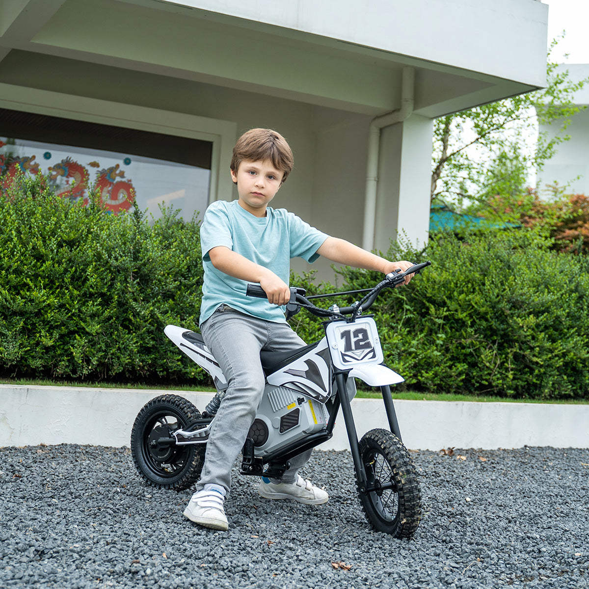 36V E-Dirt Bike with Brushless Motor - image 12