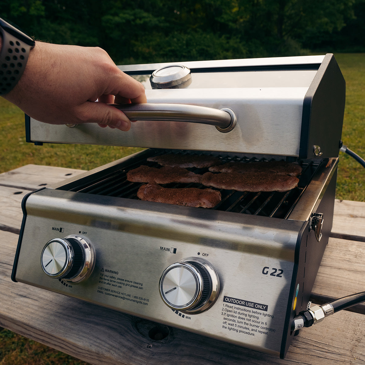 Tabletop Propane Gas Grill - image 25