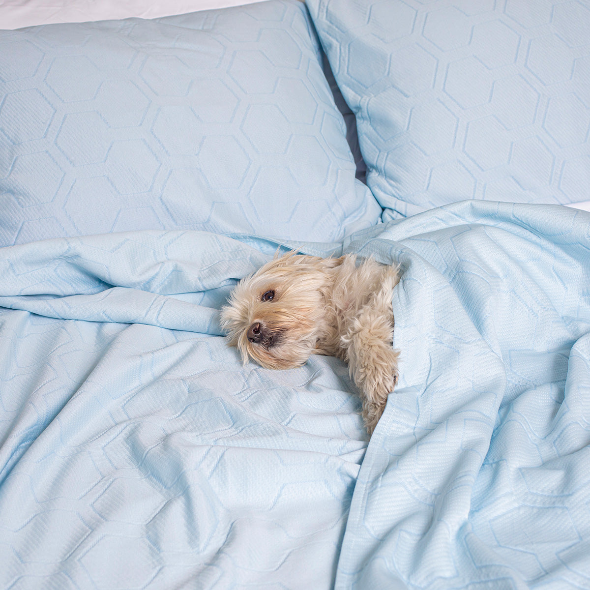 Cooling Bed Blanket and Pillow Case Set - image 8