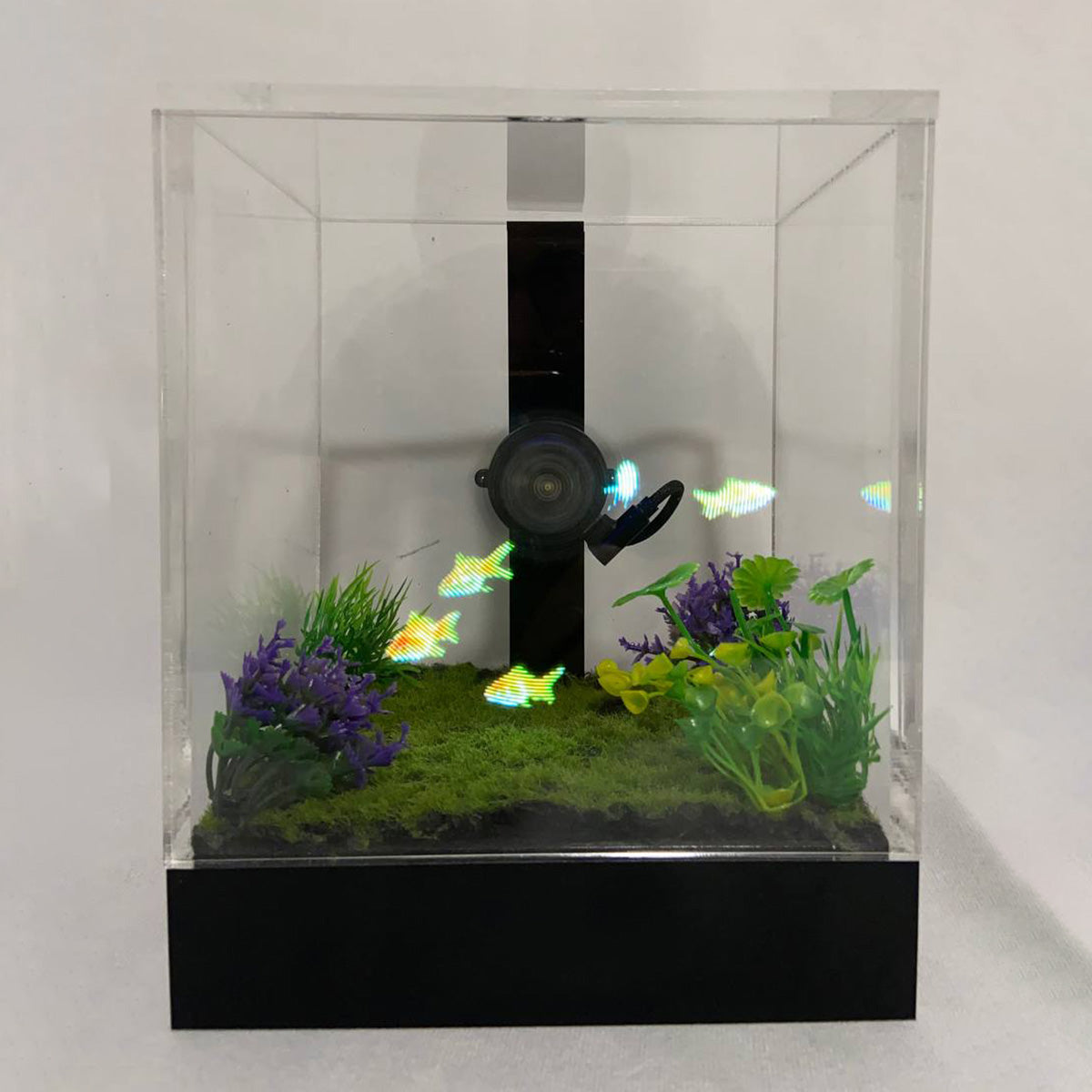 3D Holographic Aquarium - image 14