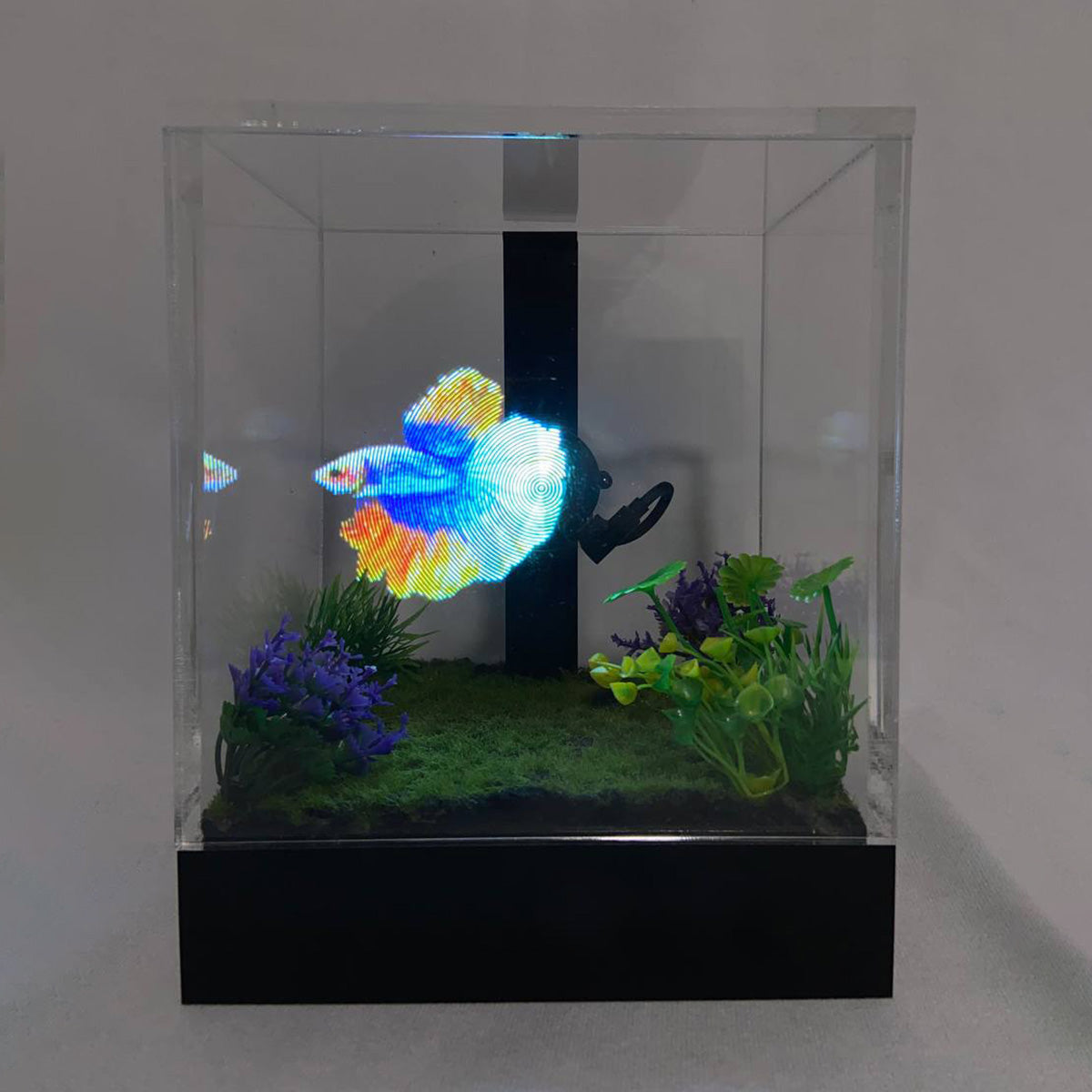 3D Holographic Aquarium - image 23