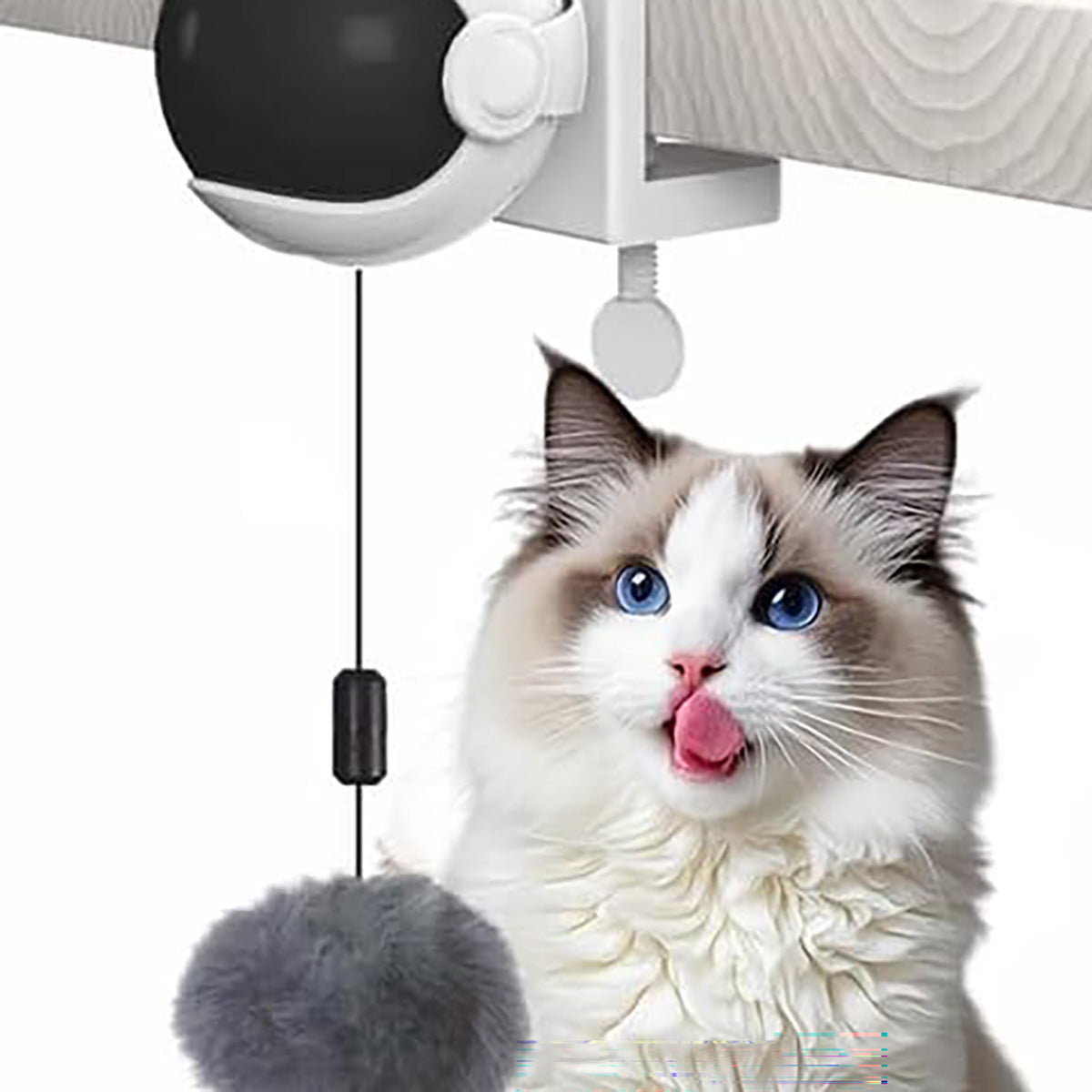 Self-Moving Interactive Cat Ball - image 3