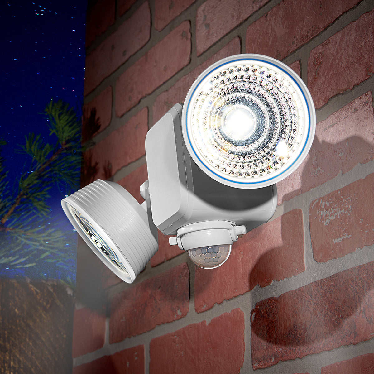 Dual LED Motion Light