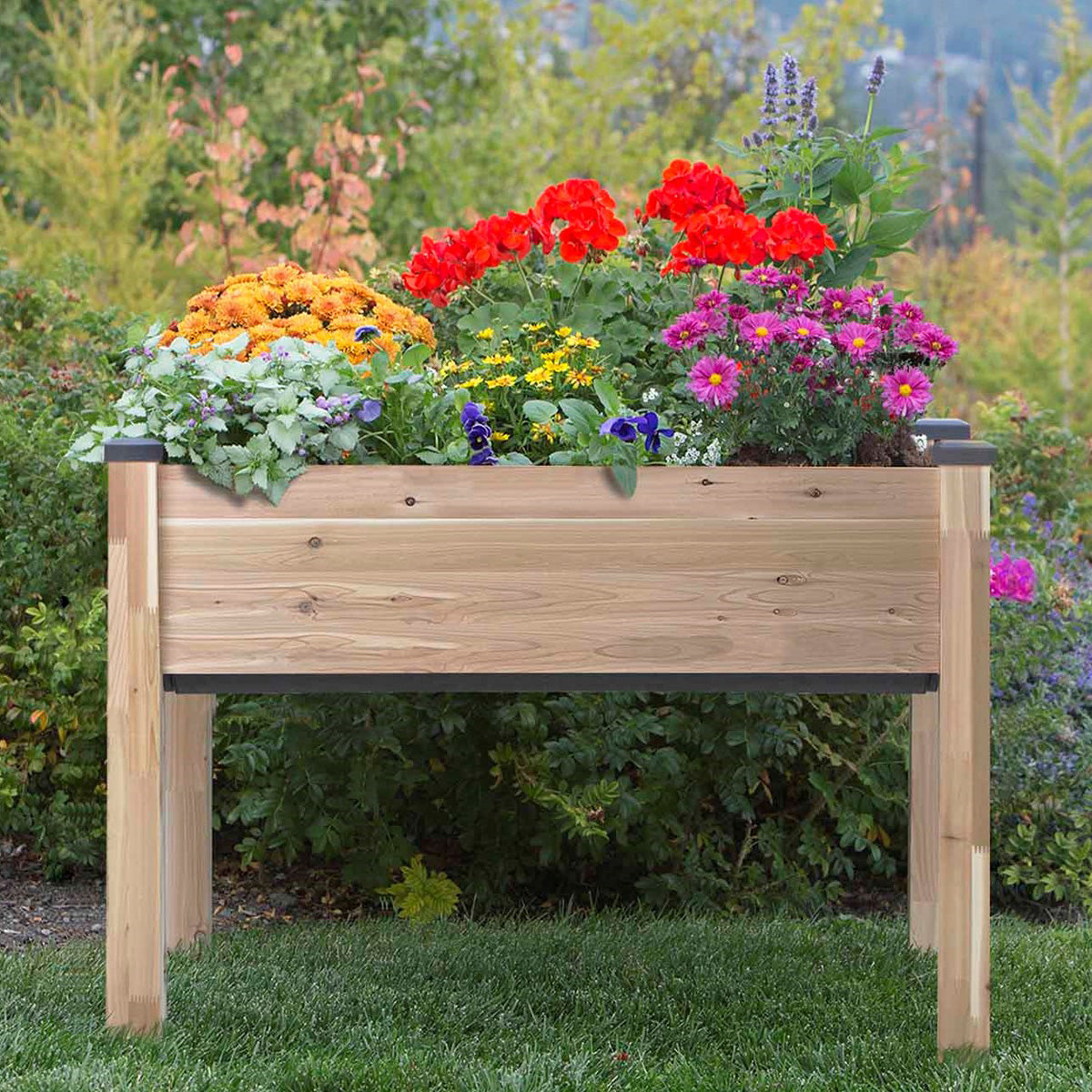 Self-Watering Planter - image 2