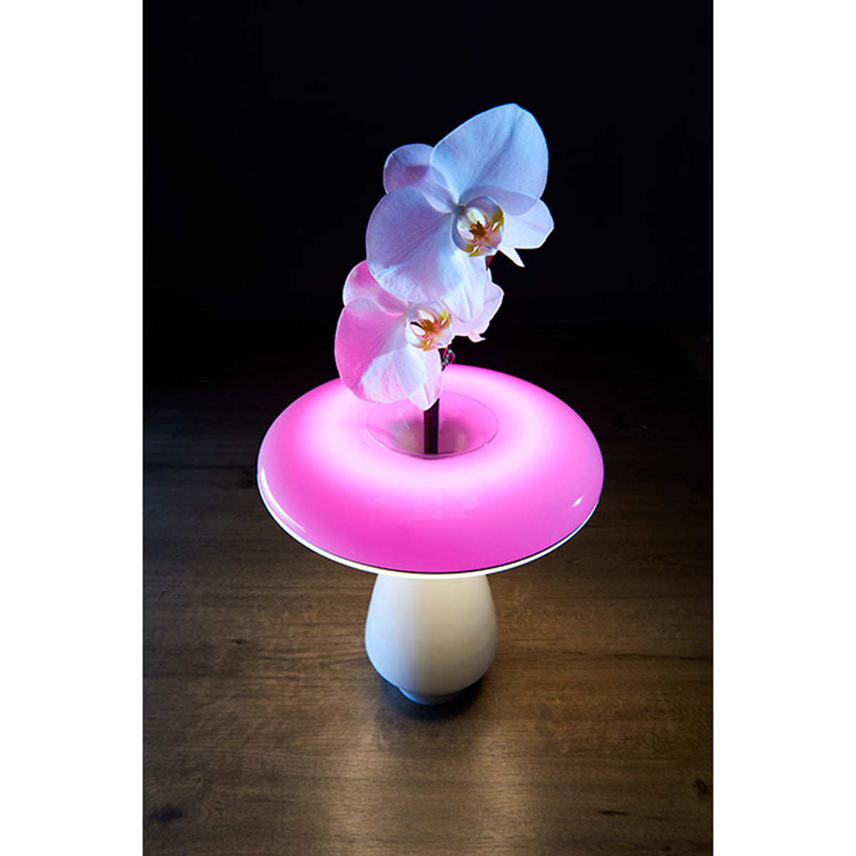 LED Ceramic Flower Vase - image 2