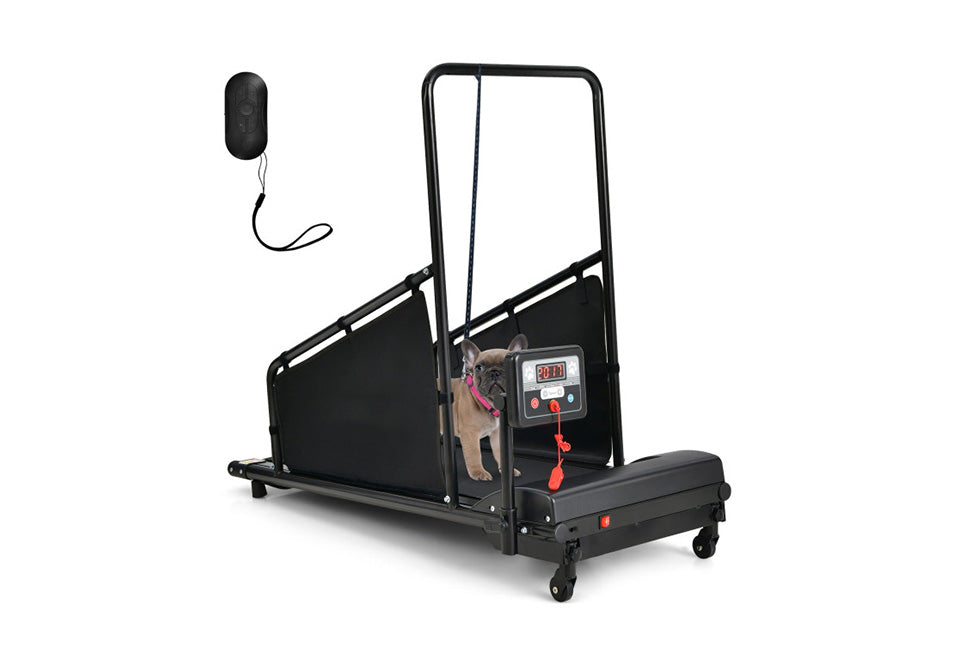 Pet Treadmill