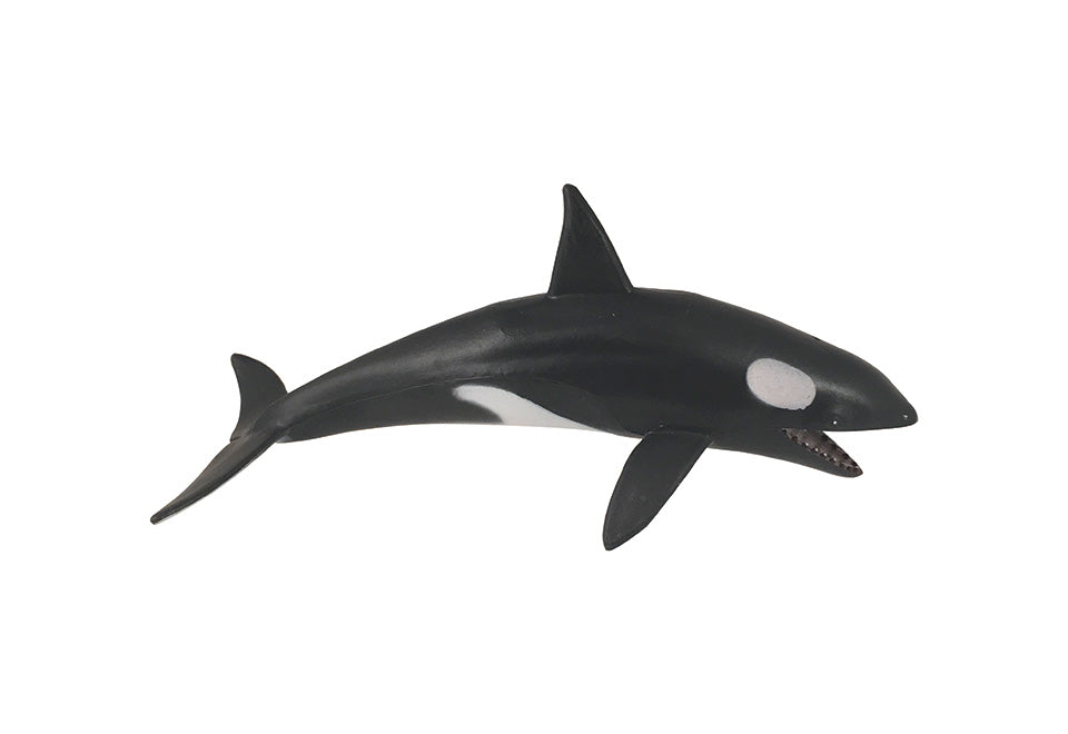 Undersea 4D Interactive Smart Set - image 8
