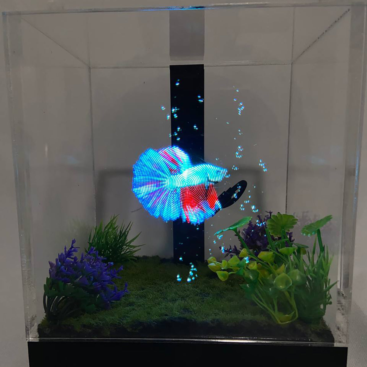 3D Holographic Aquarium - image 13