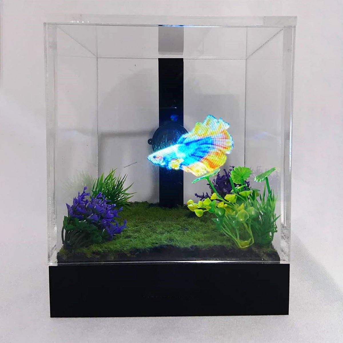 3D Holographic Aquarium - image 6