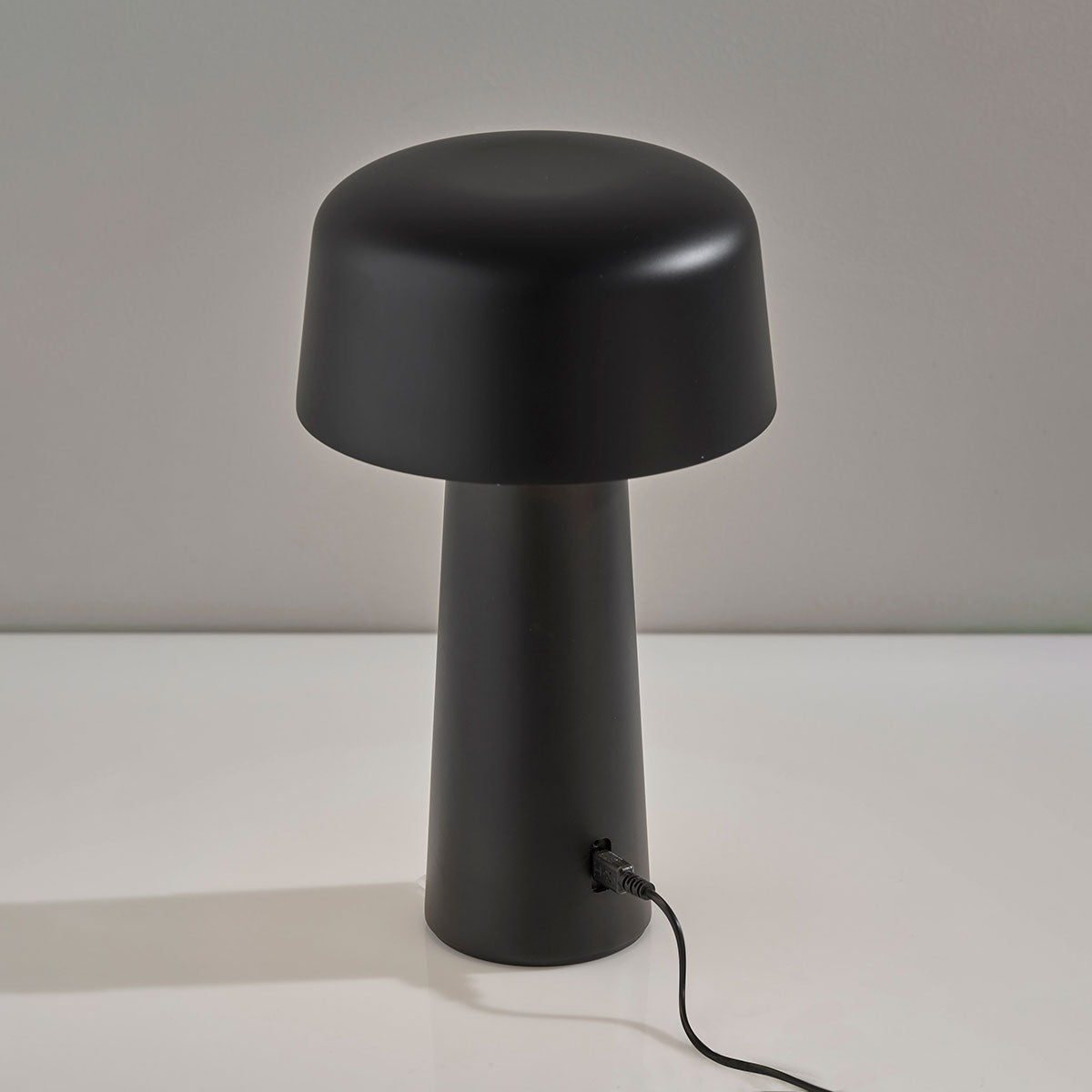 Cordless Indoor/Outdoor LED Diffused Light  Table Lamp - image 4
