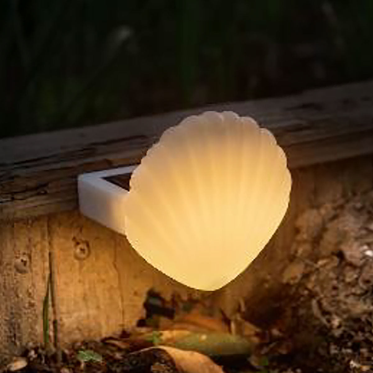 Shell Solar Powered Deck Lights (Set of 4)