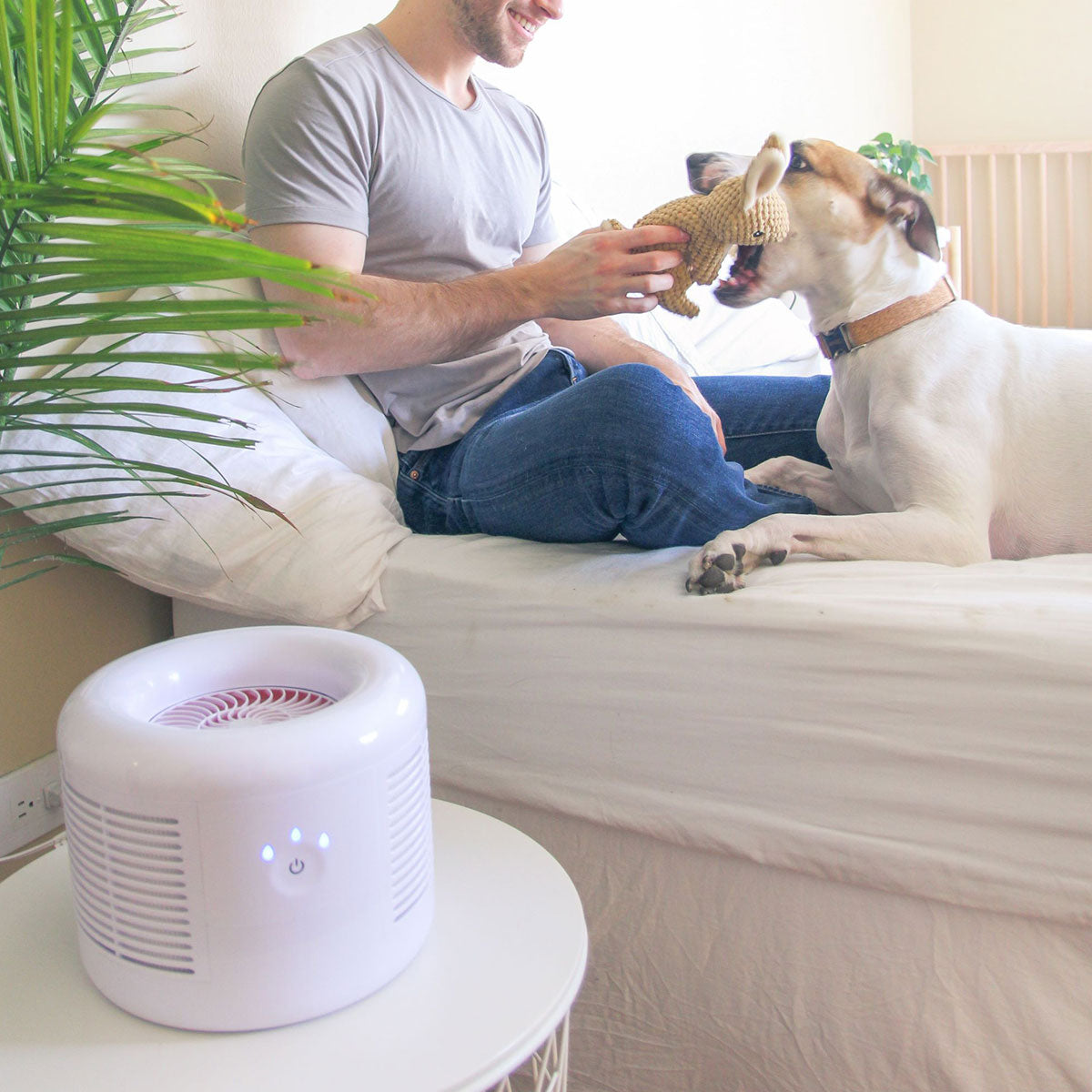 Compact Air Purifier - image 3