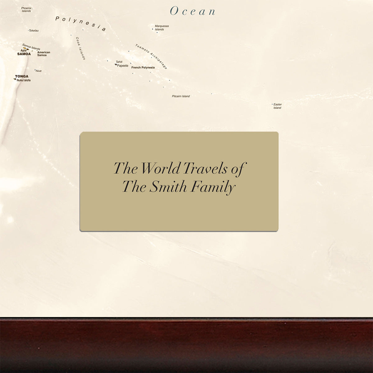 World Traveler Push Pin Map - image 3